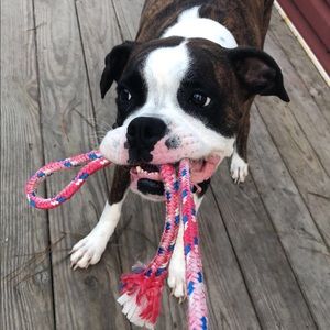 Meet your Posher, Sabrina